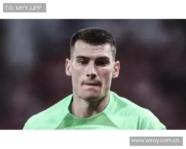 萨格勒布迪纳摩欲租回利瓦科维奇与费内巴切展开谈判