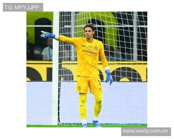 近十年欧冠门将零封场次统计拉亚布冯索默表现突出