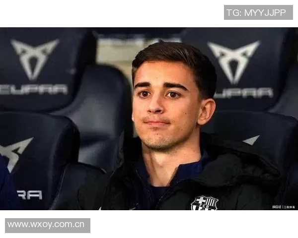 加维恢复进展顺利有望在明年二月重返赛场